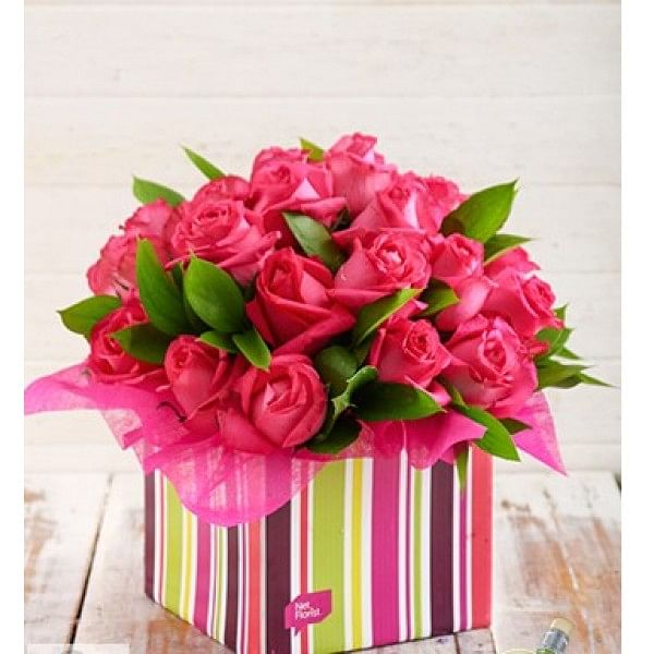 Pink Roses in Striped Box